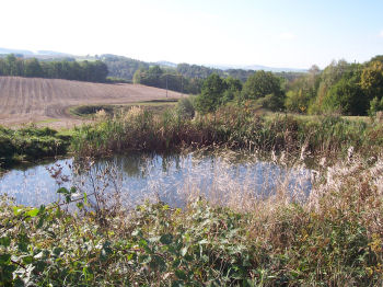 Irchwitz im Oktober 2006
