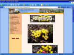 Frhlingsbilder 2006