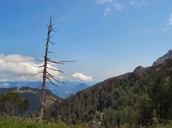 Urlaub im Berchtesgadener Land 2005 Tag 2