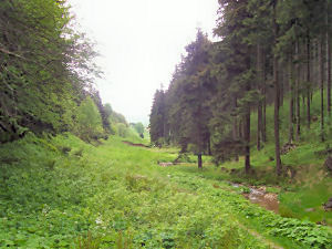 Oberwiesenthal Pfingsten 2006
