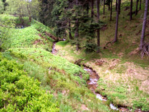 Oberwiesenthal Pfingsten 2006