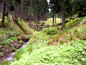 Oberwiesenthal Pfingsten 2006