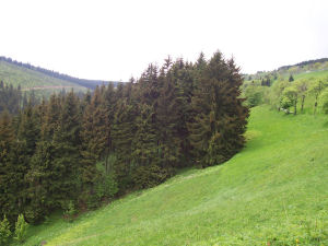 Oberwiesenthal Pfingsten 2006