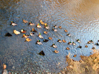 Ausflug zur Idahhe im Januar 2006