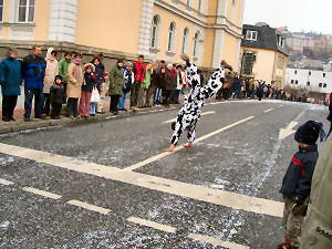 Greizer Rosenmontagszug 2006