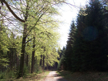 Radtour nach Waldhaus am 1. Mai 2006