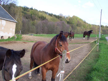 Randtour am 1.Mai 2006 nach Waldhaus