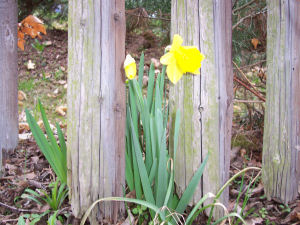 Ostern 2006