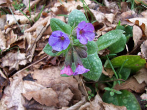 Ostern 2006