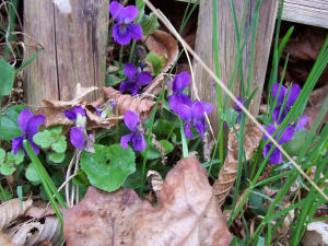 Ostern 2006