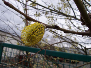 Ostern 2006