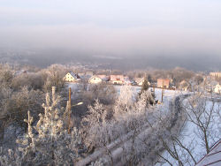 Der Garten im Februar 2006