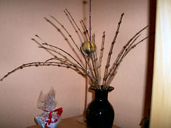 Der Garten im Februar 2006