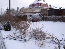 Der Garten im März 2006