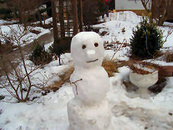 Der Garten im März 2006