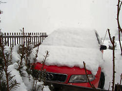 Der Garten im März 2006