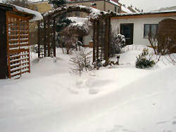 Der Garten im März 2006
