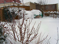 Der Garten im März 2006