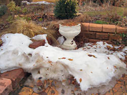 Der Garten im März 2006