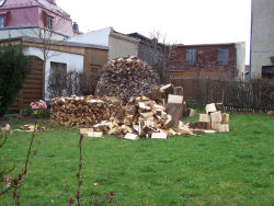 Der garten im April