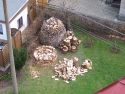 Der garten im April