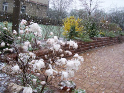 Der garten im April