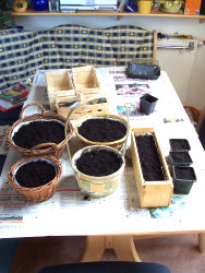 Der Garten im April 2006