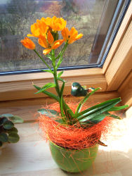 Der Garten im April 2006