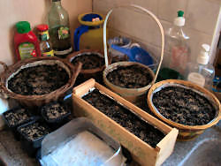 Der Garten im April 2006