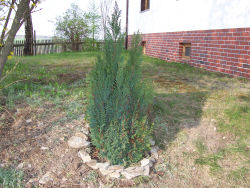 Der Garten im Mai 2006