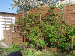 Der Garten im Mai 2006