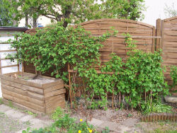 Der Garten im Mai 2006