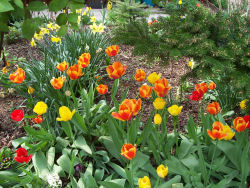 Der Garten im Mai 2006