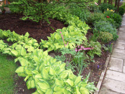 Der Garten im Mai 2006