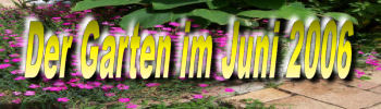 Garten im Juni 2006