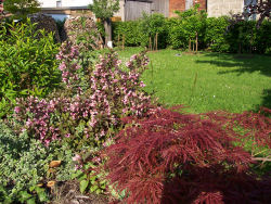 Der Garten im Juni 2006
