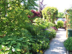 Der Garten im Juni 2006