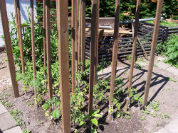 Der Garten im Juni 2006