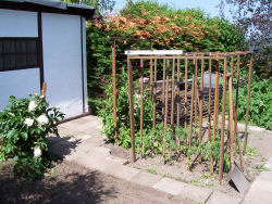 Der Garten im Juni 2006