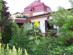 Der Garten im August 2006
