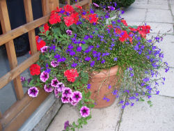 Der Garten im August 2006