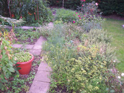 Der Garten im August 2006