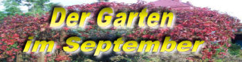 Der Garten im September 2006