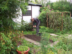 Der Garten im September 2006