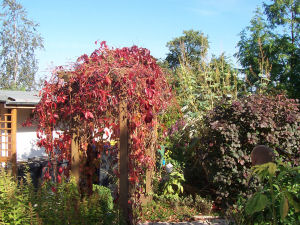 Der Garten im Oktober 2006