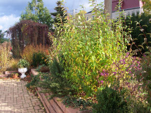Der Garten im Oktober 2006