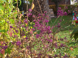 Der Garten im Oktober 2006