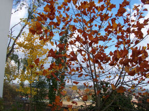 Der Garten im Oktober 2006