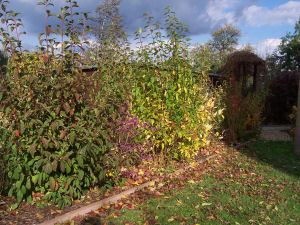 Der Garten im Oktober 2006