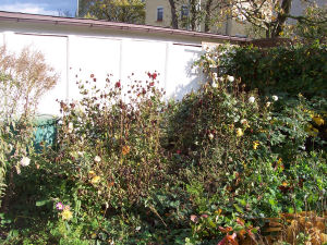 Der Garten im Oktober 2006